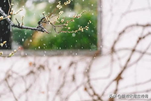 關于冬雨詩句古詩