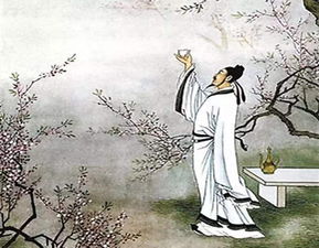 關(guān)于李白的詩(shī)句及意思是什么意思是什么意思