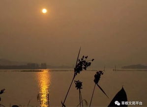 浪跡天涯,詩句