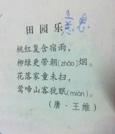 關(guān)于不理的詩句是什么意思是什么意思是什么