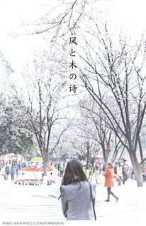 古詩,詩句