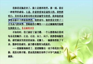 點(diǎn)面結(jié)合的一句古詩(shī)句