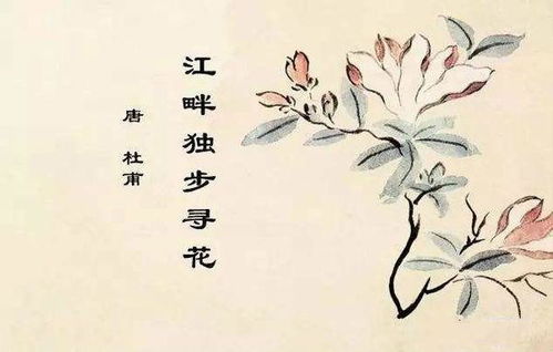 關于尋花的詩句