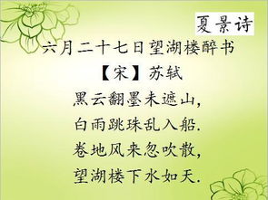 詩句,小學(xué)語文,重點