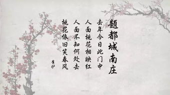 張荷花的古詩句