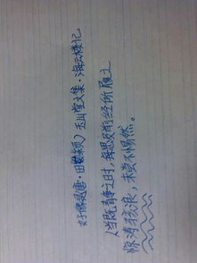關(guān)于水浪橋頭的詩句