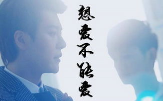 關(guān)于愛又不敢說的詩句