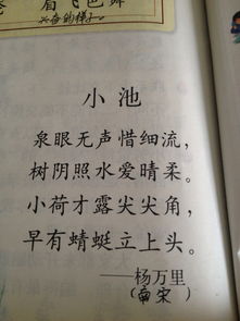 形容早上太陽(yáng)升起的古詩(shī),形容早上空氣好的古詩(shī),形容早上出發(fā)晚上到達(dá)的古詩(shī)
