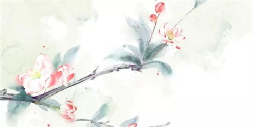 杜甫蝴蝶蜻蜓的詩句,蜜蜂蝴蝶蜻蜓的詩句,杜甫描寫蝴蝶和蜻蜓的詩句