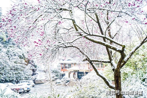 關(guān)于黃河的詩句及故事
