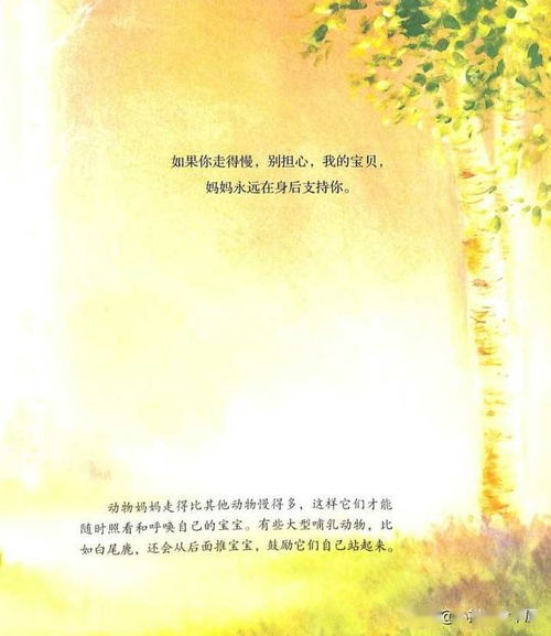 母愛,詩句