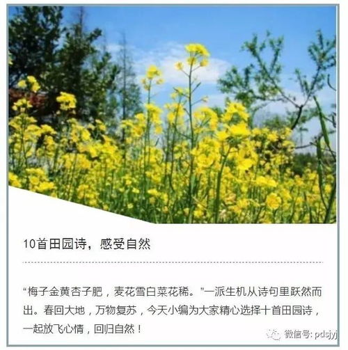 關(guān)于對(duì)大自然感覺的詩(shī)句