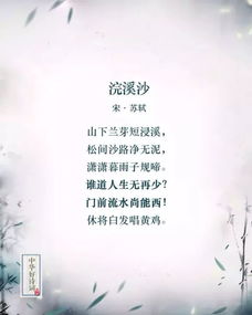 做好充分準備的名言詩句,做好服務工作的詩句,做好萬全準備的名言詩句