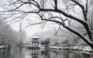 雪景的詩句古詩詞