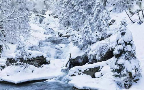 富有詩意的詩句關(guān)于雪