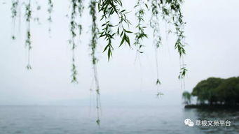 浪跡天涯的經(jīng)典詩句,一個(gè)人浪跡天涯的詩句,形容浪跡天涯的詩句