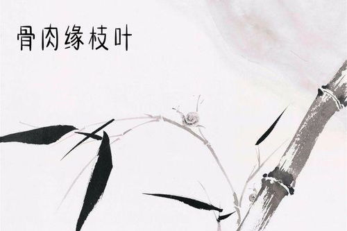 表示數(shù)字的古詩句