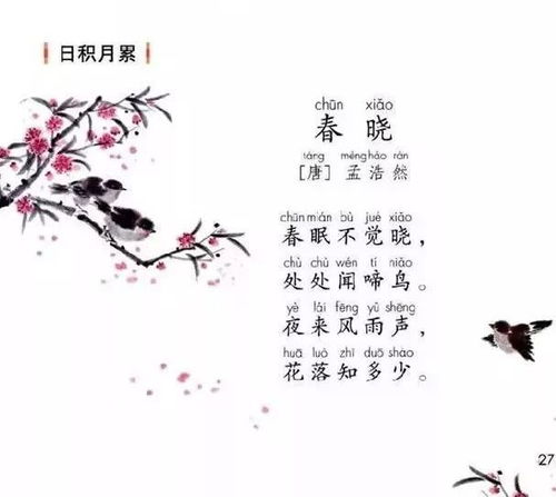 一級(jí)夏天詩句古詩