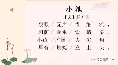 關(guān)于校園的詩句大全集