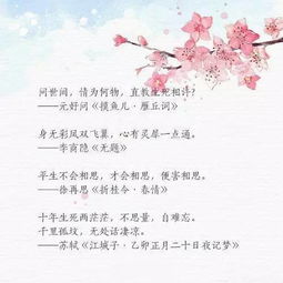 詩句,寫人