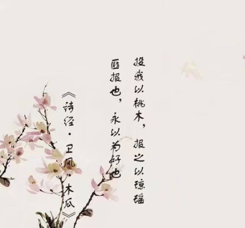詩經(jīng)很美的古詩句