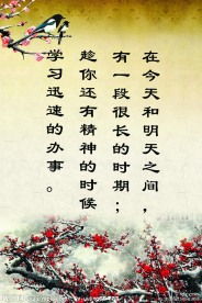 關(guān)于花的名言警句或詩句