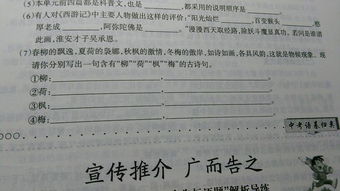 詩句,帶有