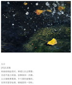 關(guān)于秋雨的詩(shī)句古詩(shī)詞,描寫秋雨的詩(shī)句古詩(shī)詞,贊美秋雨的詩(shī)句古詩(shī)詞