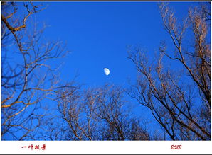 關(guān)于正月十五思鄉(xiāng)的詩句