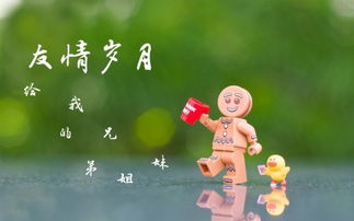 關于友誼的配圖唯美詩句