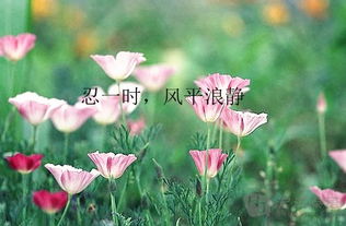 關(guān)于花的意境詩句