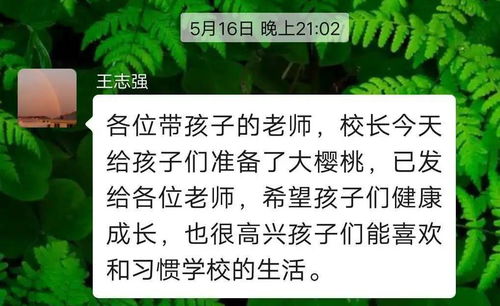 關于留戀和不舍詩句老師