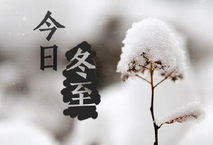 關于冬至詩句的古詩