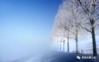 關(guān)于冬天小雪時(shí)節(jié)的詩句
