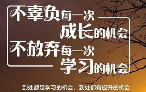 英文,詩句,奮斗