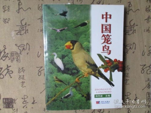 詩句,籠鳥古