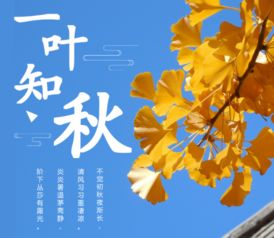 有關(guān)樹葉的詩句古詩