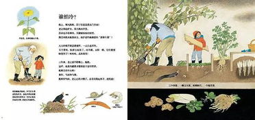 描寫讀書不負(fù)春光的古詩(shī)句