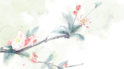 海棠的古詩的詩句