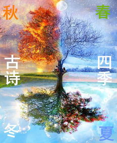 關(guān)于冬天的的詩句古詩