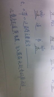 寫草的詩(shī)句古詩(shī)大全