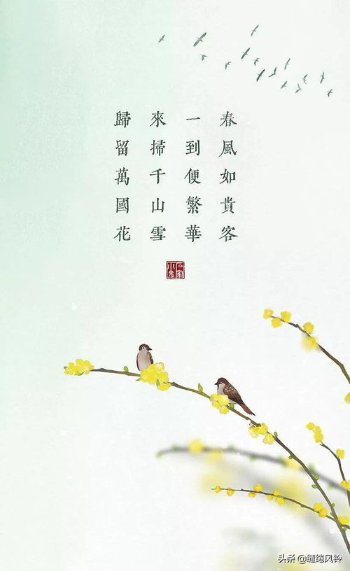 關于春天的風的詩句古詩