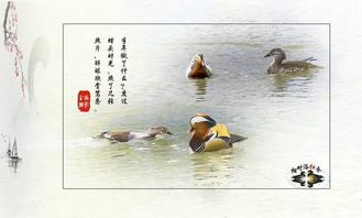 關(guān)于鴛鴦的詩句古詩