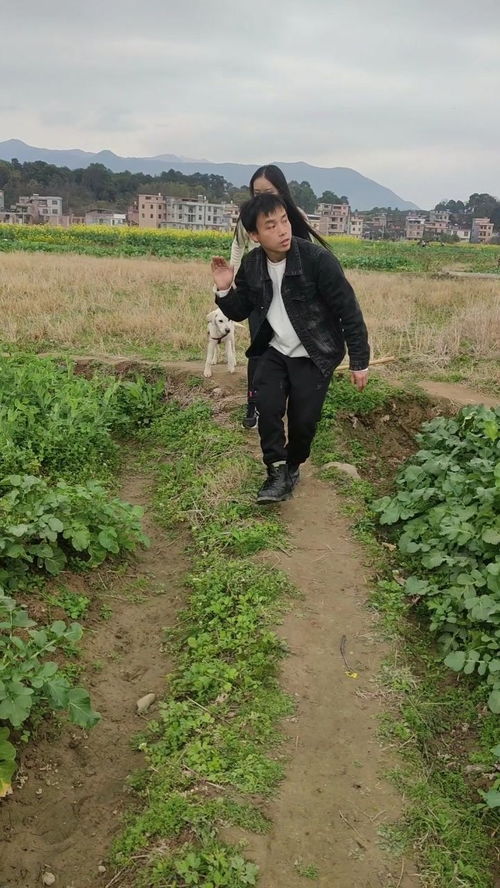 關于下雨的搞笑詩句