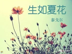 泰戈爾關(guān)于花兒的詩句
