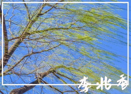 關于春風暖意的詩句