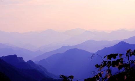 枯樹,詩(shī)句,落日,夕陽(yáng)