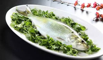 關(guān)于品嘗鰣魚的詩(shī)句