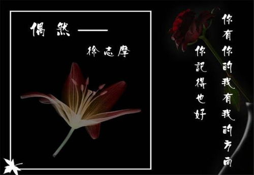 菜花,詩句,徐志,于海