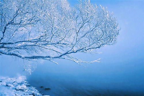 古詩中含有風或雪的詩句